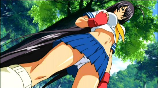 Guide to the Battle of Red Cliffs (Ikki Tousen)