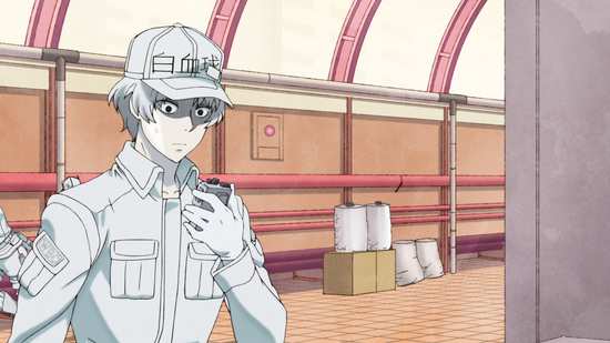 Manga Review – Cells at Work!