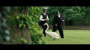 Preview Image for Screenshot from Hot Fuzz: 2 Disc Special Edition