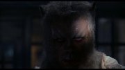 Preview Image for The Curse of the Werewolf DVD Screenshot