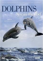 Preview Image for Dolphins: Spy in the Pod